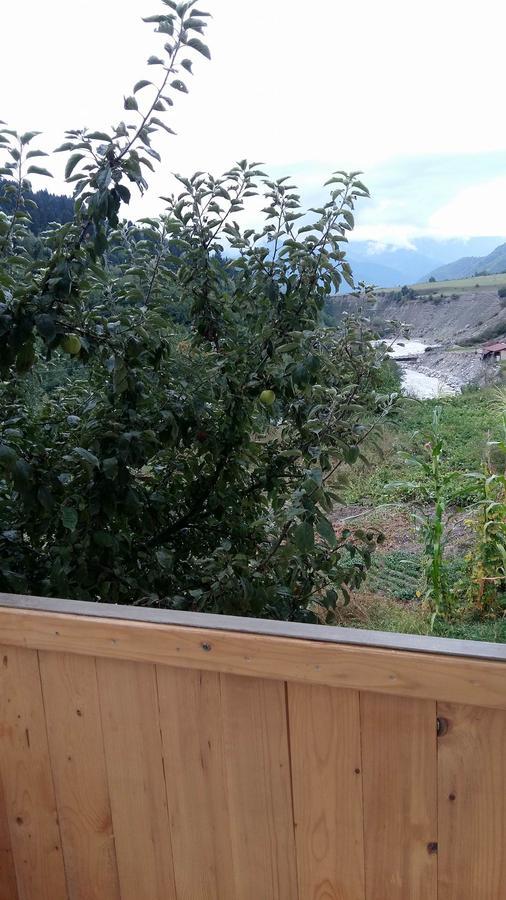 Guesthouse Guram Baba Mestia Luaran gambar
